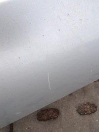 фото thumb №11, Бампер передній перед renault clio 3 iii колір teb69