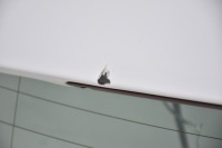 фото thumb №5, Кришка багажника задня задня ford focus mk3 iii