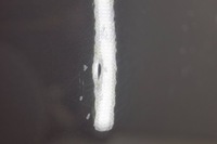 фото thumb №14, Hyunday ix35 дверь правый перед d1702 9h