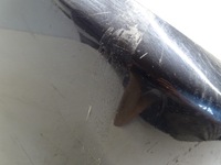 фото thumb №7, Бампер задня задній pdc bmw x3 e83 m-pakiet