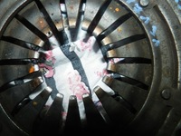 фото thumb №11, Сцепление диск прижим corsa b c 1.2 12 1862533031