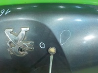 фото thumb №5, Peugeot 208 i 1.4 e-hdi 13r hb 5d капот