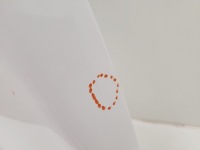 Ford connect mk2 рестайлинг  капот в Украине, фото thumb