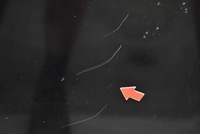 фото thumb №7, Капот кришка двигуна c197 mercedes r-klasa w251 05-10