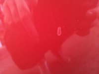 фото thumb №7, Двері праві зад bmw f30 a75 melbourne rot
