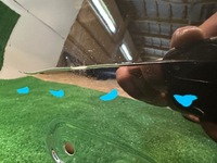 фото thumb №8, Peugeot rifter двері правий перед передні праве