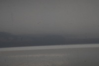 фото thumb №9, Hyundai ix35 13r дверь правый перед xaf