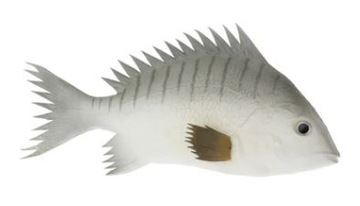РЫБАЛОЧНАЯ ПРИМАНКА ИГРУШКА ДЛЯ РЫБЫ 24 СМ УДОВОЛЬСТВИЕ