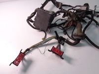 фото thumb №4, Электропроводка двигателя ford ecosport mk2 1.0 eco boost 2014 rok
