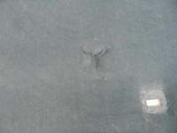 фото thumb №4, Подкрылок шумоизоляция капот mondeo mk4 lift