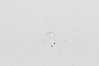 фото thumb №8, Капот кришка двигуна alpinweiss iii 300 bmw f20 11-15