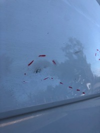 фото thumb №6, Дверь задние левая правое vw crafter ii 2 7c man tge комплект nr.05