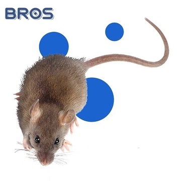 Bros LEP для МЫШЕЙ и КРЫС привлекает запахом орехов