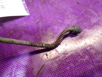 фото thumb №5, Volvo s60 i 00- ручка наружная задняя правая задняя лак 447-46