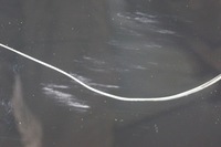 фото thumb №8, Дверь левый перед bmw x3 e83