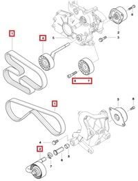 фото thumb №8, Колесо пасове вала corteco набір bmw e46 318 320d стрічка wielorowkowy