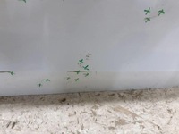 фото thumb №8, Дверь передние перед правые skoda octavia iv 4 5e3 2020-