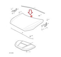 фото thumb №1, Капот zs ii 2024