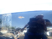 фото thumb №6, Ford kuga i 1 mk1 08-13 капот кришка двигуна