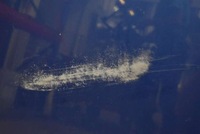 фото thumb №10, Капот кришка двигуна niebieska volvo v50 04-12