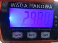 Рессора задний  iveco daily iv 2 щетки с Разборки, фото thumb