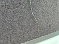 фото thumb №4, Mercedes a-klasa 168 рестайлинг дверь полка багажника задняя зад