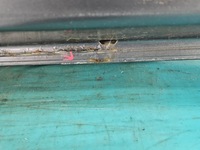 фото thumb №12, Крышка зад стекло ssangyong rexton i рестайлинг 12-17 серый acq