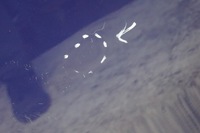 фото thumb №13, Дверь левый перед bmw 1 e87 381/5