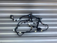 фото thumb №1, Renault trafic iii электропроводка дверь левый перед