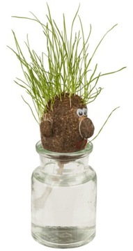 ГОЛОВА С ТРАВОЙ Голова мистера GRASS HEAD - трава