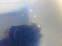 фото thumb №10, Бампер задняя suzuki ignis ii mh zf2