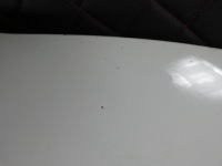 Skoda rapid 5j капот кришка двигуна комплектна Оригінал, фото thumb