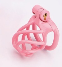Легкая розовая поясная клетка целомудрия для пениса Chastity Cage