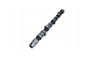 фото thumb №1, Вал розподільного валу mazda ditd дизель 3 5 6 premacy mpv