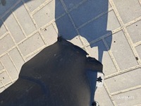 фото thumb №6, Citroen c4 picasso i праве підкрилок передні 9653141980