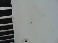 фото thumb №14, Потолок потолок ford focus mk3 hb