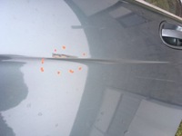 фото thumb №14, Двері bmw e65 schiefergruen