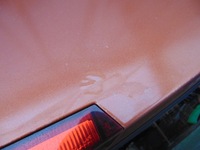 фото thumb №13, Крышка багажника багажника задняя saturn vue opel antara