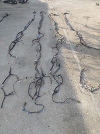 фото thumb №4, Toyota celica v 5 джгут електрична задня салону