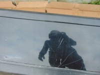 фото thumb №8, Бампер задняя citroen c5 iii sedan 2008- pdc хром