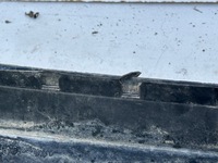 фото thumb №10, Бампер задняя задний renault captur i 13- pdc