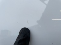 фото thumb №9, Ford edge mk2 двері праві перед лак yz niemalowane bdb