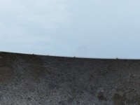 Капот крышка оригинал лак opel corsa d lata 2006-2014 цвет z474 Недорого, фото thumb