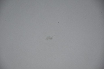 фото thumb №5, Капот крышка двигателя vw passat b5 рестайлинг