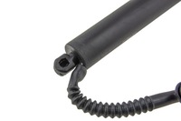 фото thumb №11, Амортизатор задньої кришки