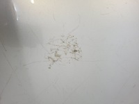 фото thumb №13, Бампер задний ford b-max 2014