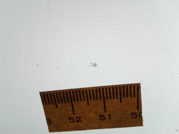 фото thumb №4, Стекло лобовое передняя bmw ix i20 2021- камера датчик солнечный hud оригинальная