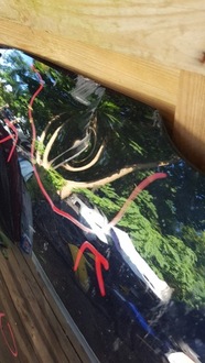 фото thumb №6, Капот vw golf 7 vii 5g0