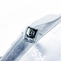 фото thumb №7, Tesla model x p90d задні ліва двері передні оздоблення з датчиком szczy