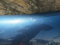 фото thumb №6, Крила перед лівий renault trafic ii